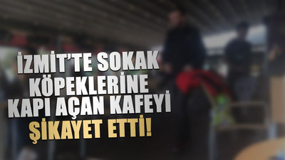 İzmit’te sokak köpeklerine kapı açan kafeyi şikayet etti!