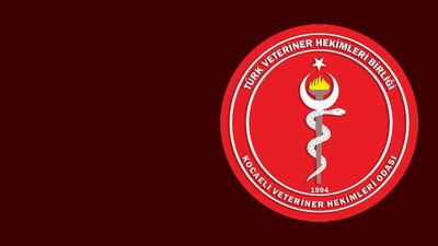 Kocaeli’de veteriner hekimler başkan seçecek