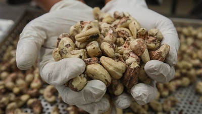 Her gün 4 adet kaju yiyince bakın ne oluyor? Daha önce duyulmamış etkisi