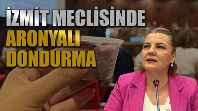 İzmit meclisinde aronyalı dondurma