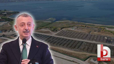 Körfez'in çamur temizliği BM'nin gündeminde, Büyükakın Bakü'de anlatacak