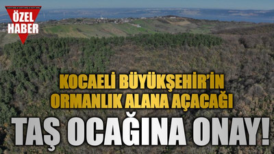 Kocaeli Büyükşehir’in ormanlık alana açacağı taş ocağına onay!