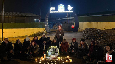 Hayvan severler yeni yıla katliamın olduğu yerde girdi