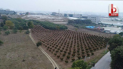 TOKİ, Kocaeli’de 9 arsayı satacak