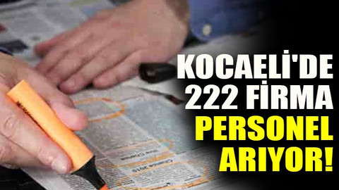 Kocaeli'de 222 firma personel arıyor!
