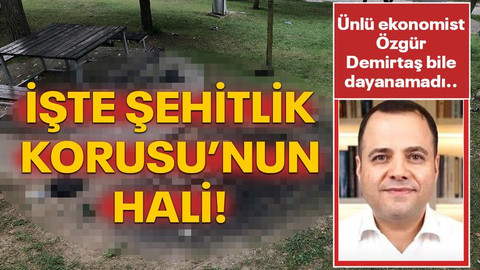 Özgür Demirtaş bile dayanamadı... İşte Şehitlik Korusu’nun hali!