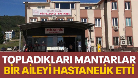 Kocaeli'de bir aile mantardan zehirlendi