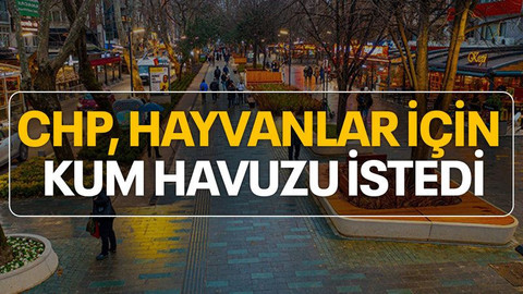CHP'den Cumhuriyet Bulvarı'na hayvanlar için kum havuzu talebi