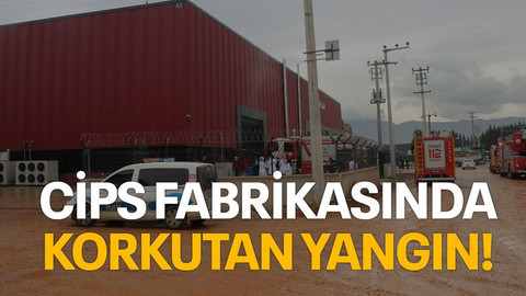 Cips fabrikasında korkutan yangın!
