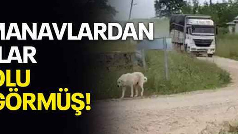 Oyu Manavlardan alanlar bir yolu çok görmüş!