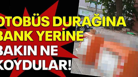 Otobüs durağına bank yerine bakın ne koydular!