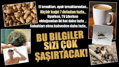Okudukça şaşıracağınız birbirinden ilginç bilgiler!