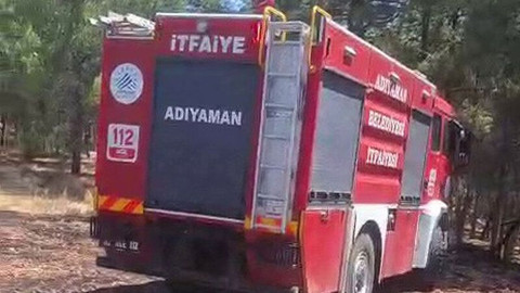 Adıyaman'da orman yangını