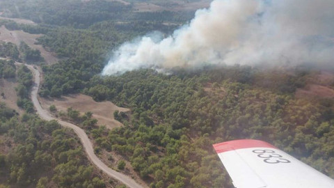 Adana'da orman yangını