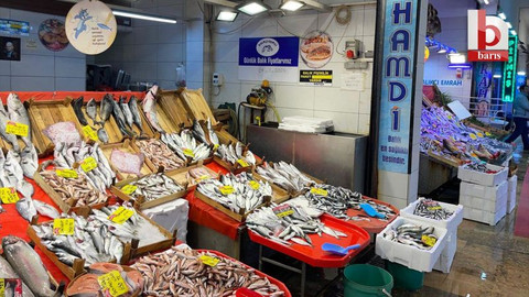 Kocaeli’de hamsi fiyatı güncellendi! Bakın ne kadar oldu?