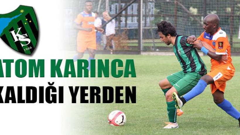 Atom karınca kaldığı yerden