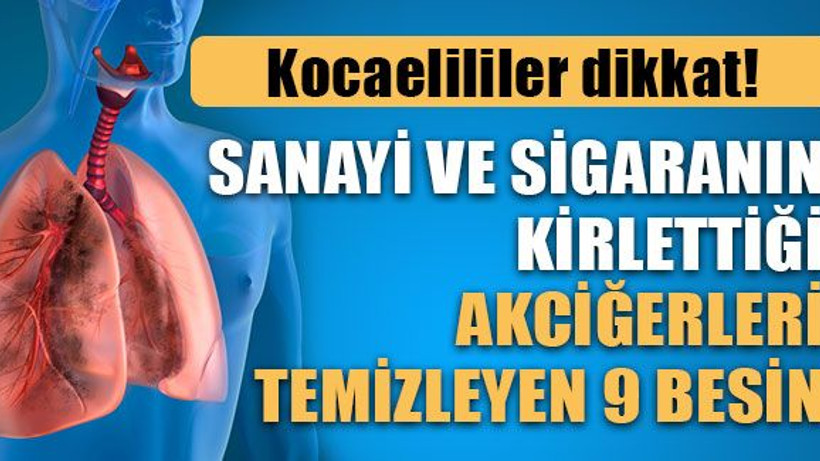 Sanayi ve sigaranın kirlettiği akciğerleri temizleyen 9 besin!