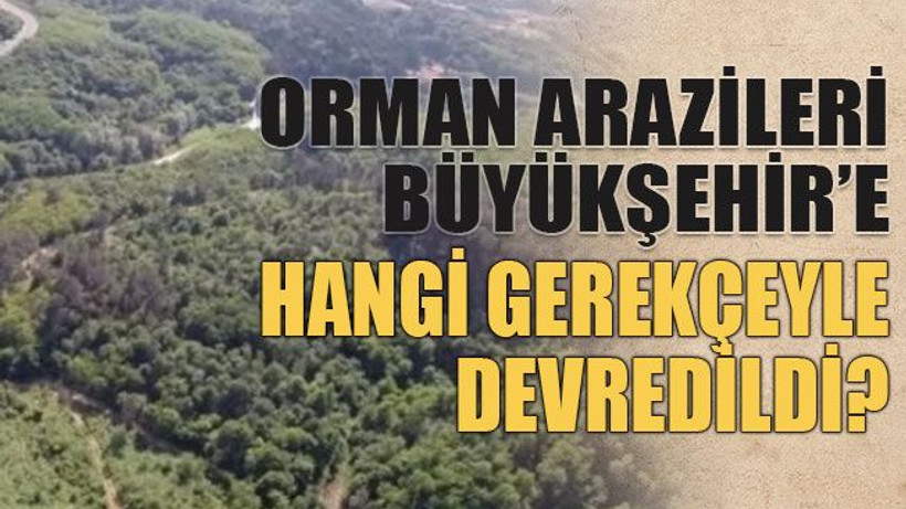 Orman arazileri Büyükşehir’e hangi gerekçeyle devredildi?