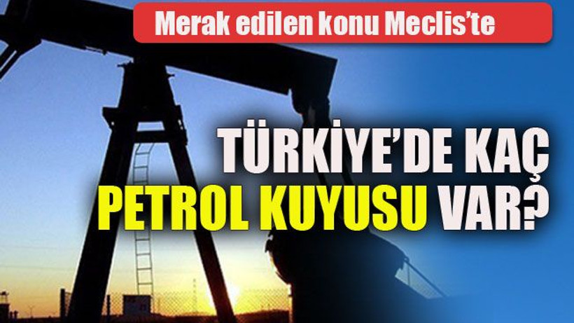 Türkiye’de kaç petrol kuyusu var?