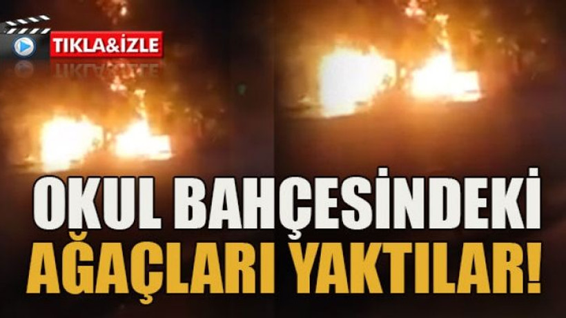 Okul bahçesindeki ağaçları yaktılar!