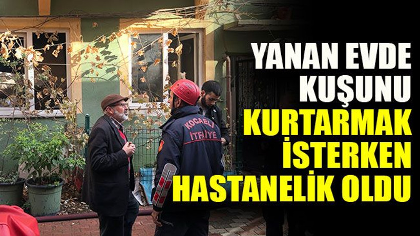 Yanan evde kuşunu kurtarmak isterken hastanelik oldu