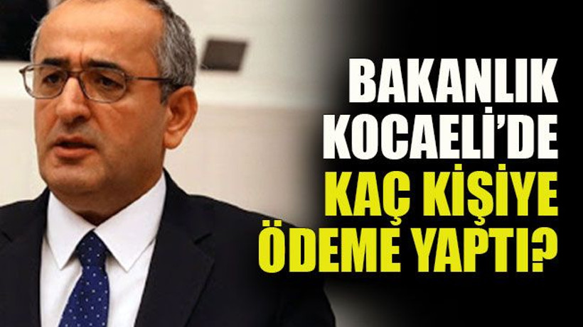 Bakanlık Kocaeli’de kaç kişiye ödeme yaptı?