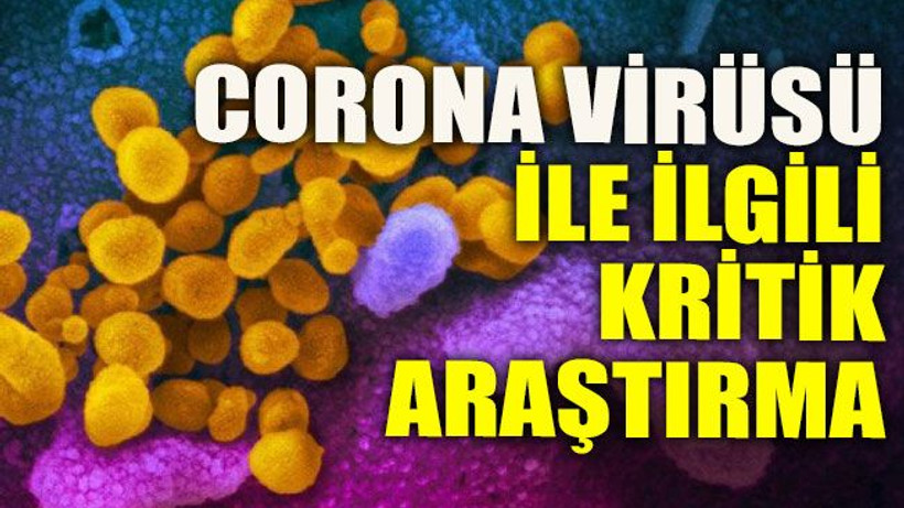 Corona virüsü ile ilgili kritik araştırma