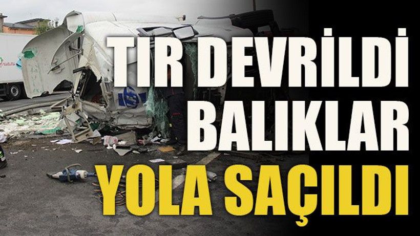 Tır devrildi balıklar yola saçıldı
