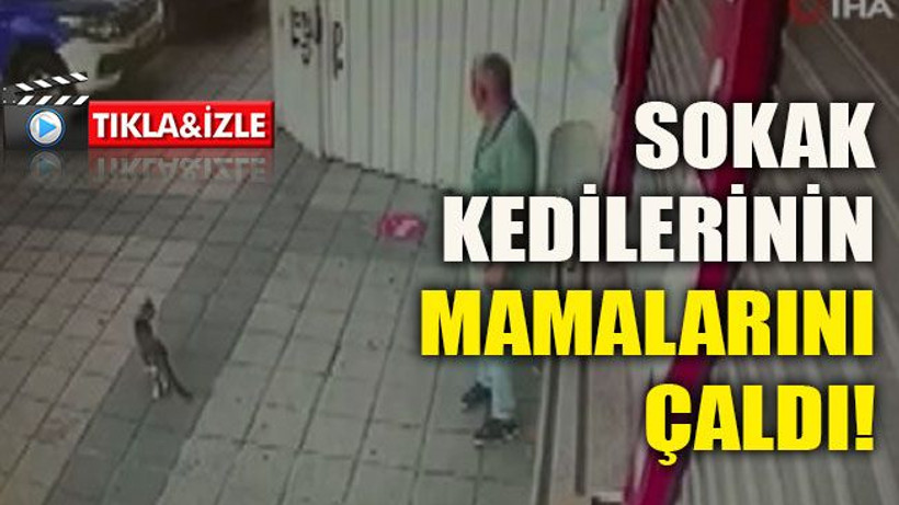 Sokak kedilerinin mamalarını çaldı!