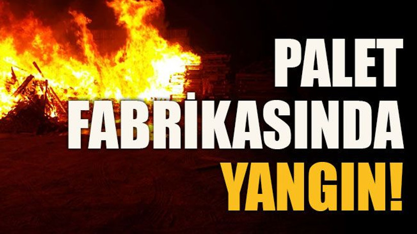 Palet fabrikasında yangın!