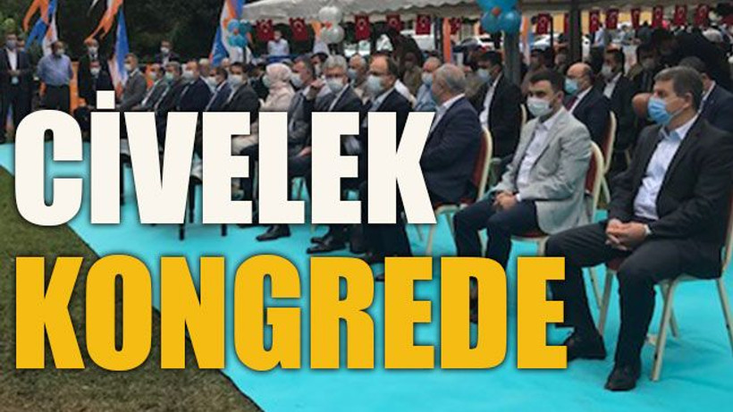Civelek kongrede!