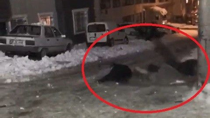 Karda poşetle kayan gençlerin eğlencesi kötü bitti