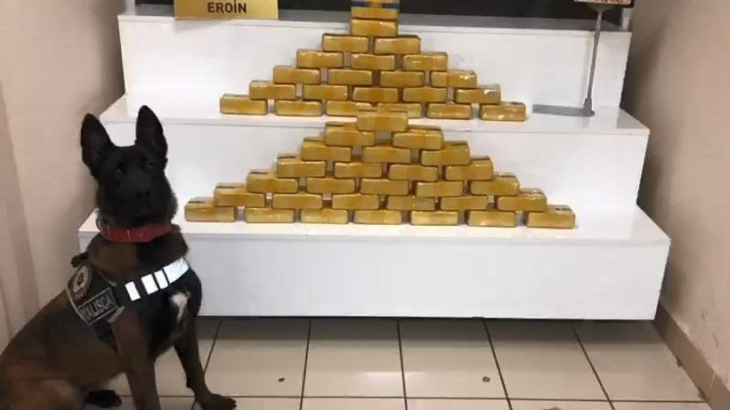 Kocaeli'de 26 kilo eroini narkotik köpeği buldu