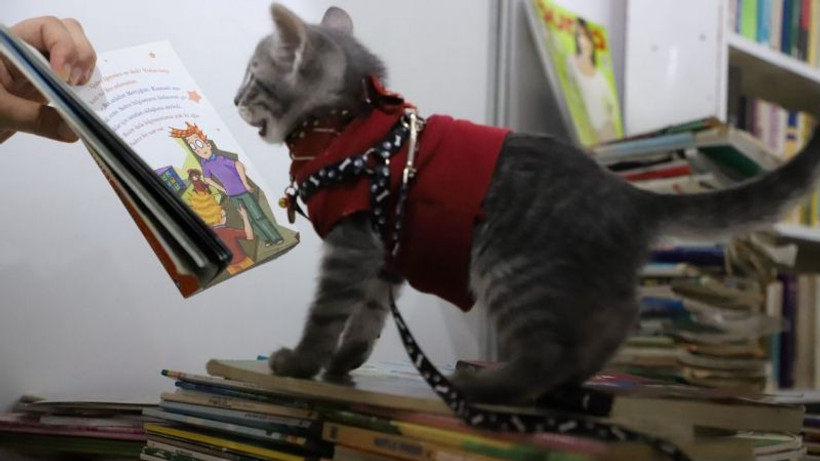 Kitap Fuarı'nın en sevimli misafiri Luna