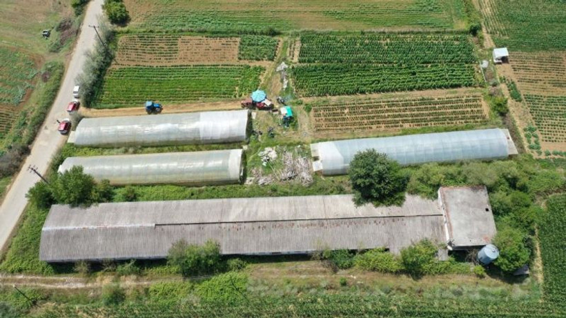 Üreticilere yüzde 50 hibeli sera desteği