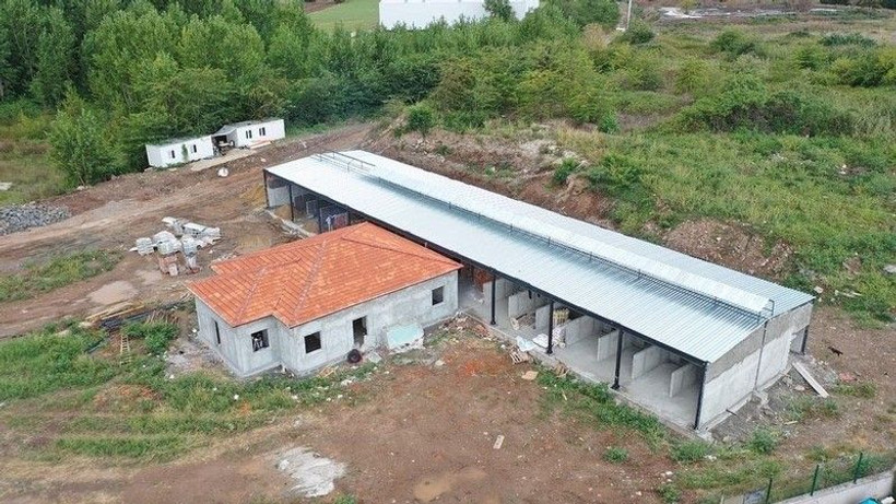 Minik dostlara yeni barınak