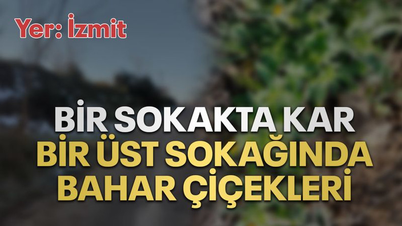 Bir sokakta kar, bir üst sokağında bahar çiçekleri
