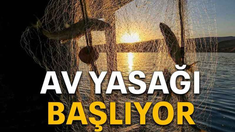 Av yasağı başlıyor