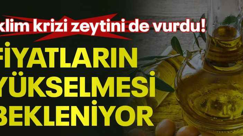 İklim krizi zeytini de vurdu! Fiyatların yükselmesi bekleniyor