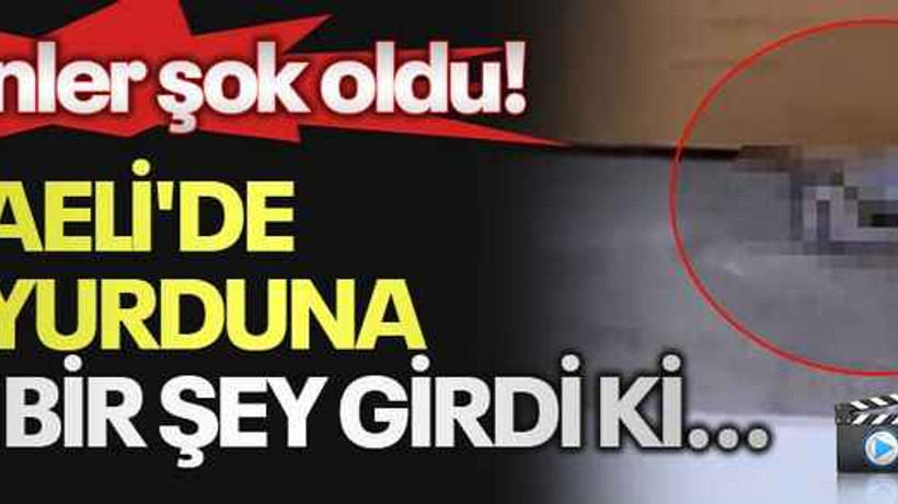 Kocaeli'de KYK yurduna öyle bir şey girdi ki...Görenler şok oldu!