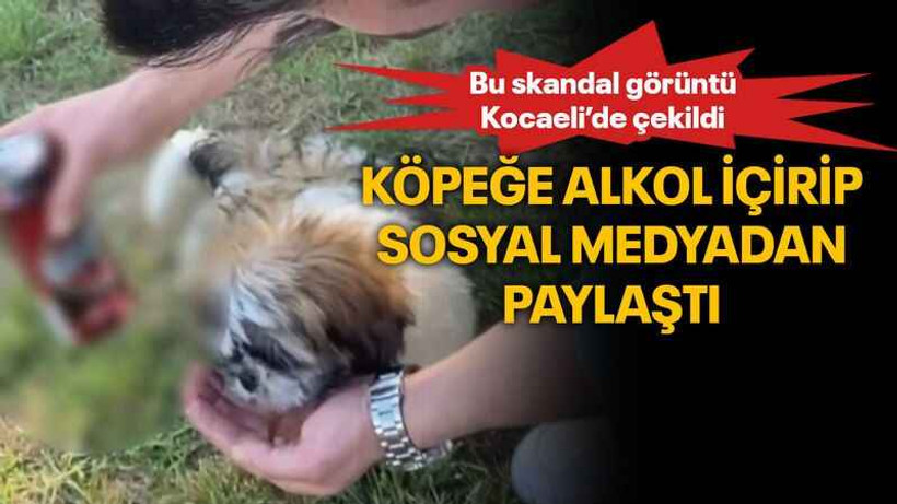 Köpeğe alkol içirip sosyal medyadan paylaştı