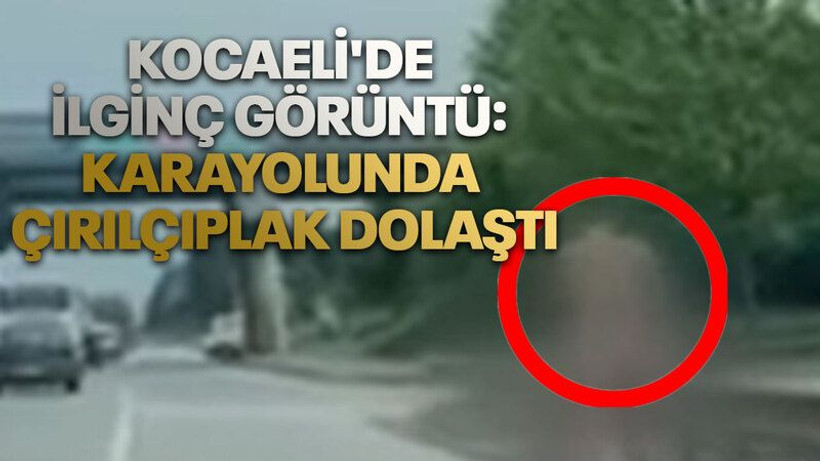 Kocaeli'de ilginç görüntü: Karayolunda çırılçıplak dolaştı