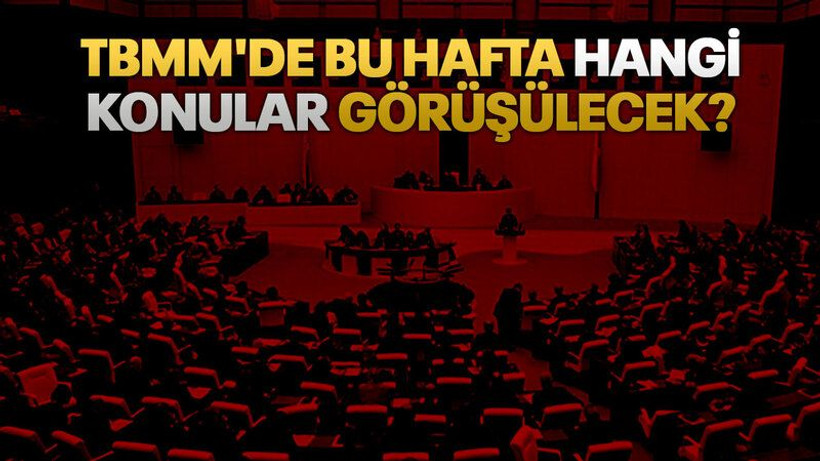 TBMM'de bu hafta hangi konular görüşülecek?