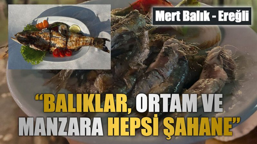 Mert Balık – Ereğli “Balıklar, ortam ve manzara hepsi şahane”