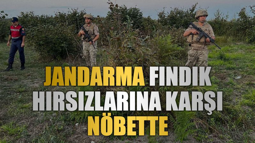 Jandarma fındık hırsızlarına karşı nöbette