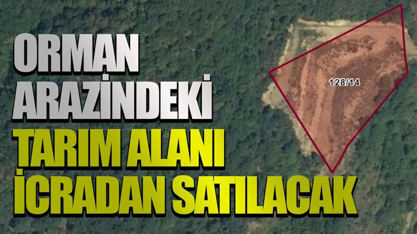 Orman arazindeki tarım alanı icradan satılacak