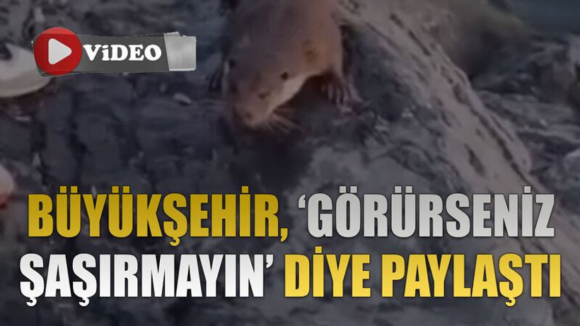 Büyükşehir, görürseniz şaşırmayın diye paylaştı