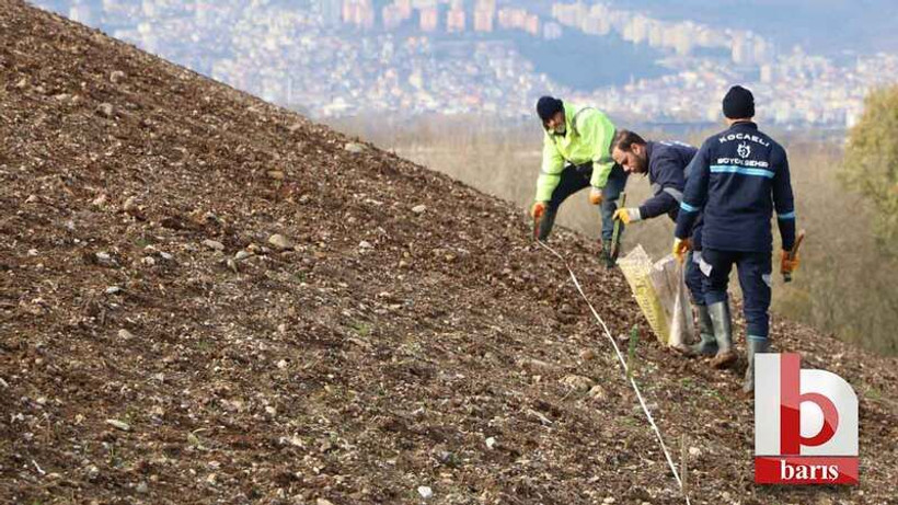 Kocaeli’de binlerce ağaç dikilecek