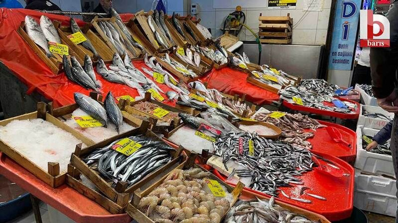Kocaeli, İstanbul, Bursa, Sakarya: Pazarda bile 250 TL’nin altına hamsi yok!