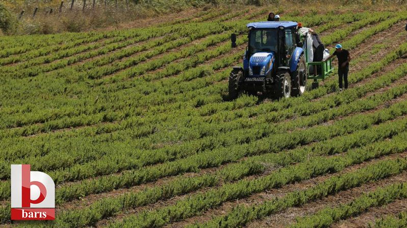 Kocaeli’de tarıma 235 milyon lira destek